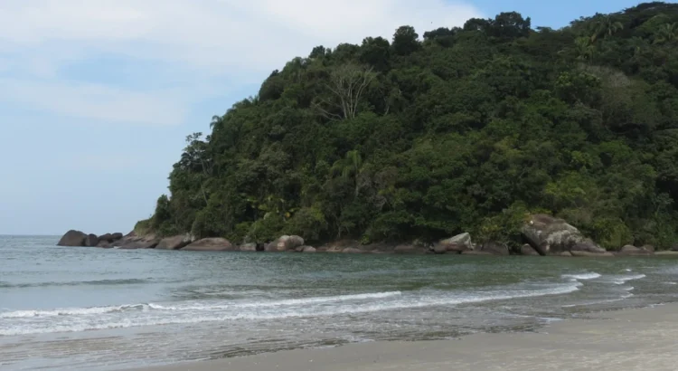 Foto: Miguelrangeljr na Wikipedia de Bertioga