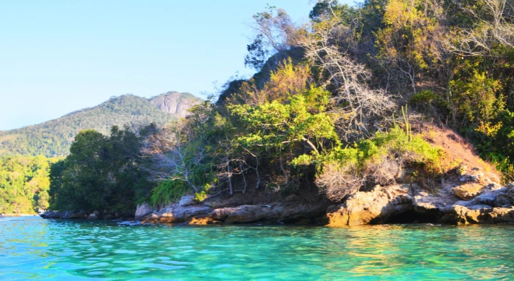 Foto: Ana Carolina do Nascimento Guimarães na Wikipedia 